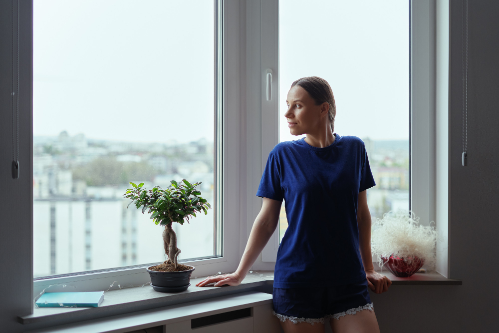 Fort Dodge Vinyl Windows